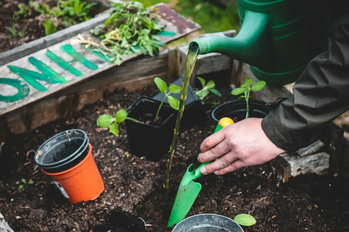 Gartenpflege planen: Fläche, Rhythmus und Grüngut